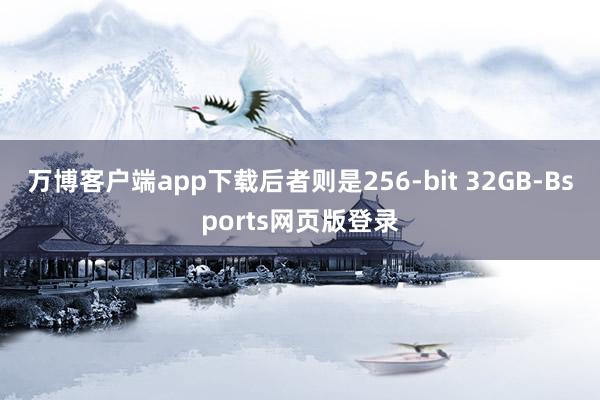 万博客户端app下载后者则是256-bit 32GB-Bsports网页版登录