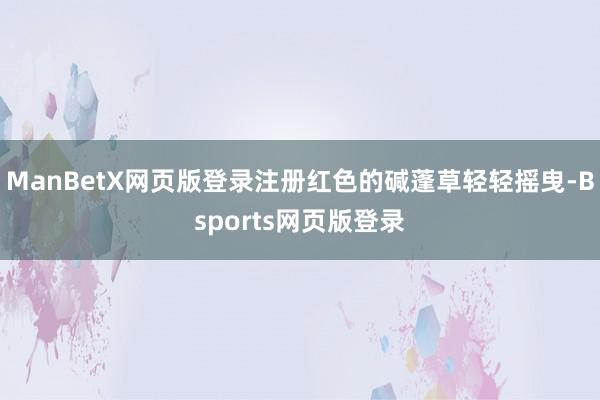 ManBetX网页版登录注册红色的碱蓬草轻轻摇曳-Bsports网页版登录